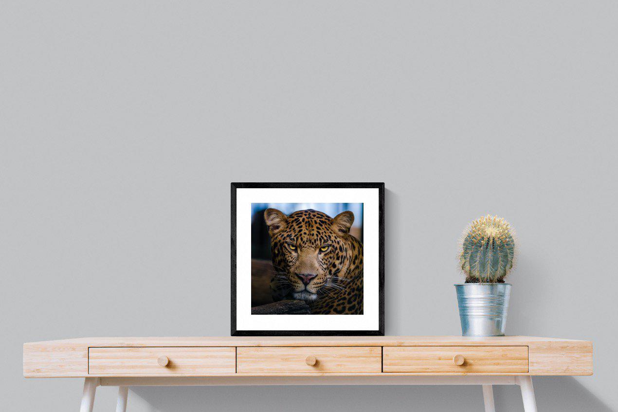 Contempt-Wall_Art-50 x 50cm-Framed Print-Black-Pixalot