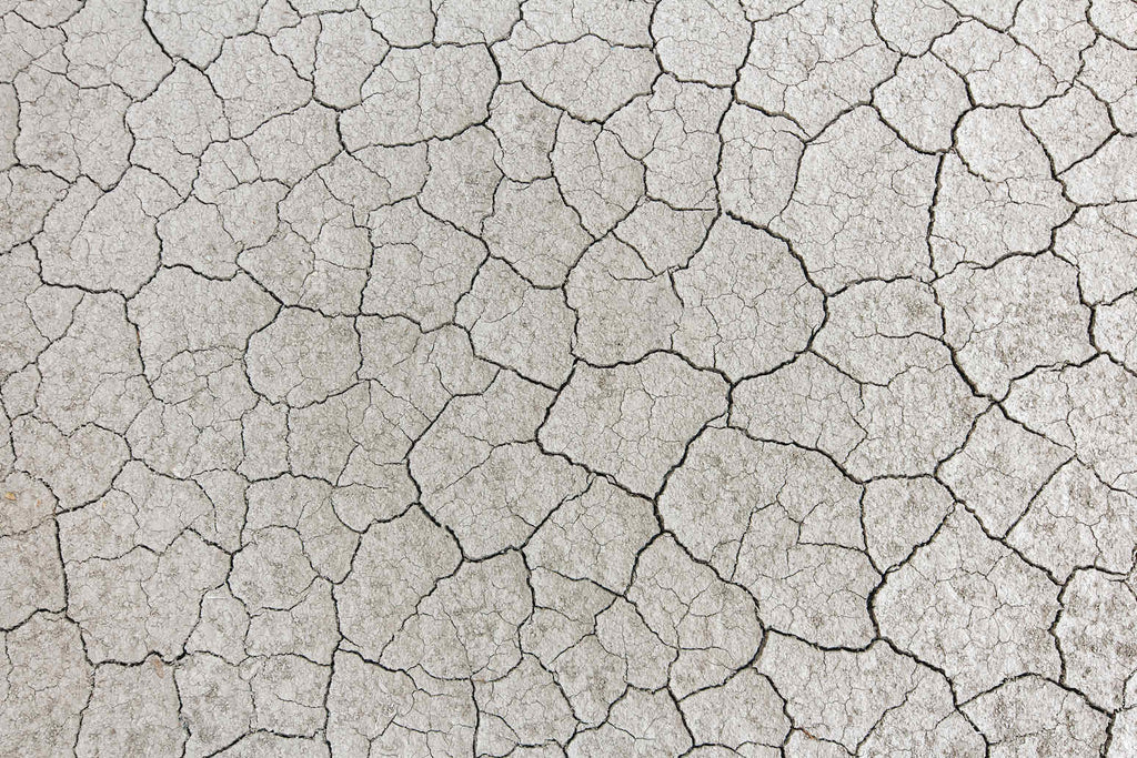 Cracked Clay-Wall_Art-Pixalot