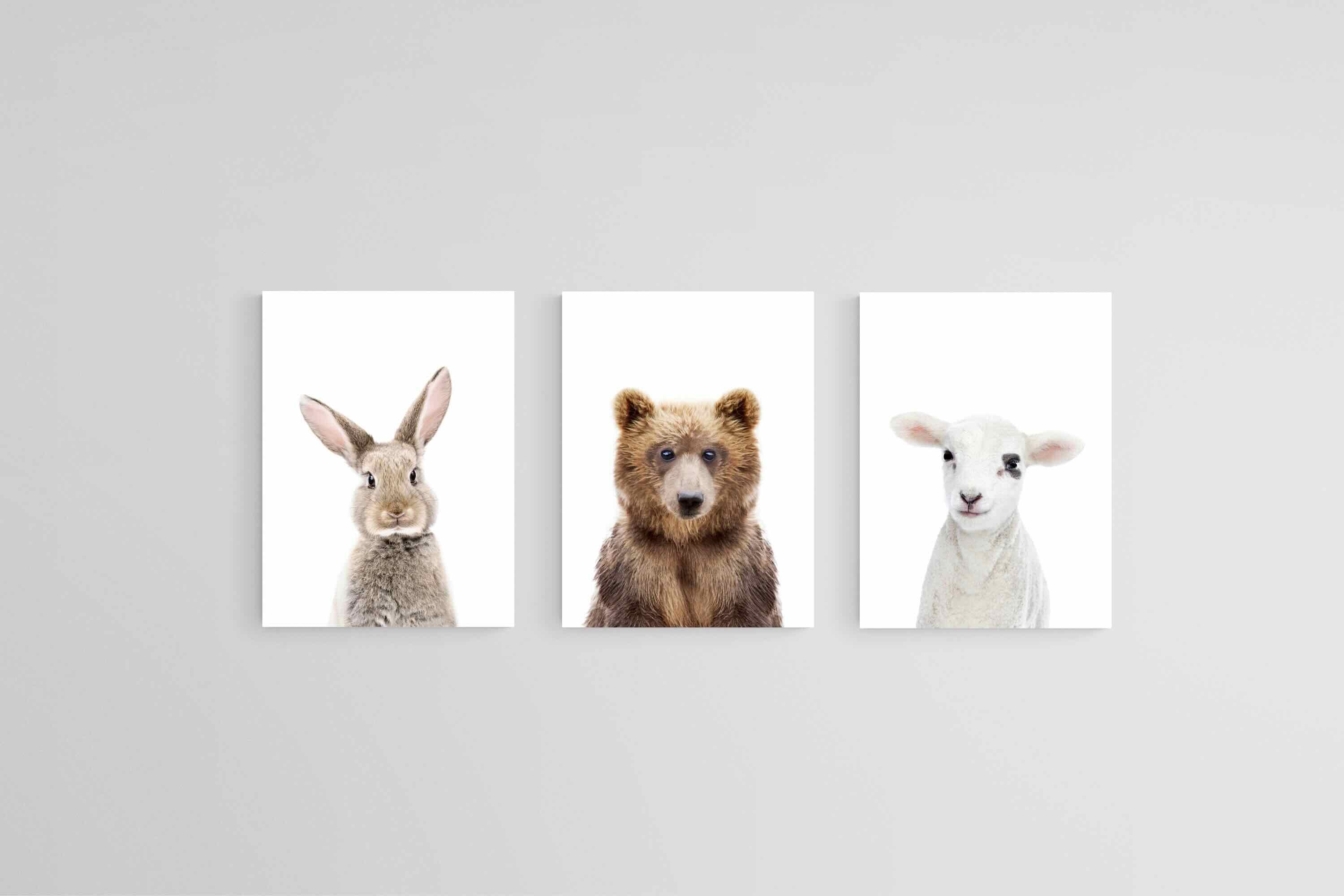 Adorable Trio Set