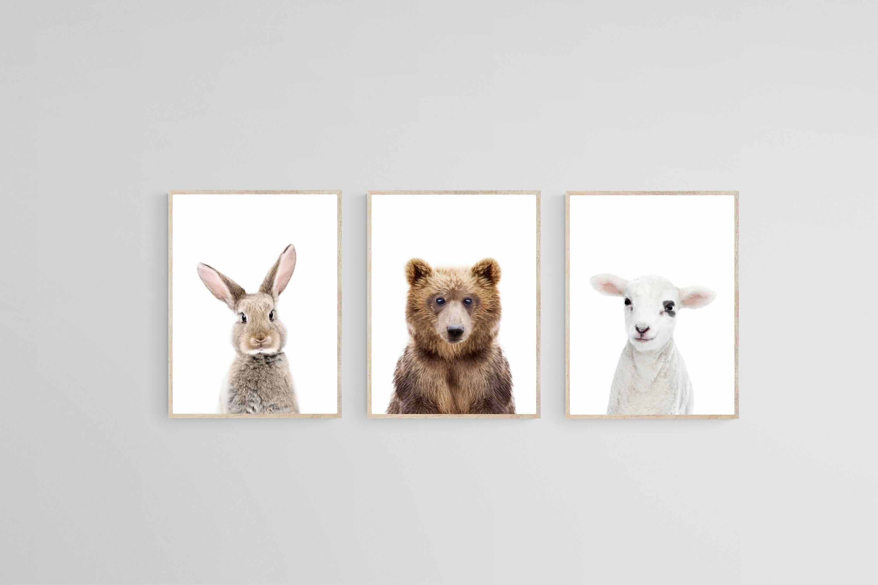Adorable Trio Set