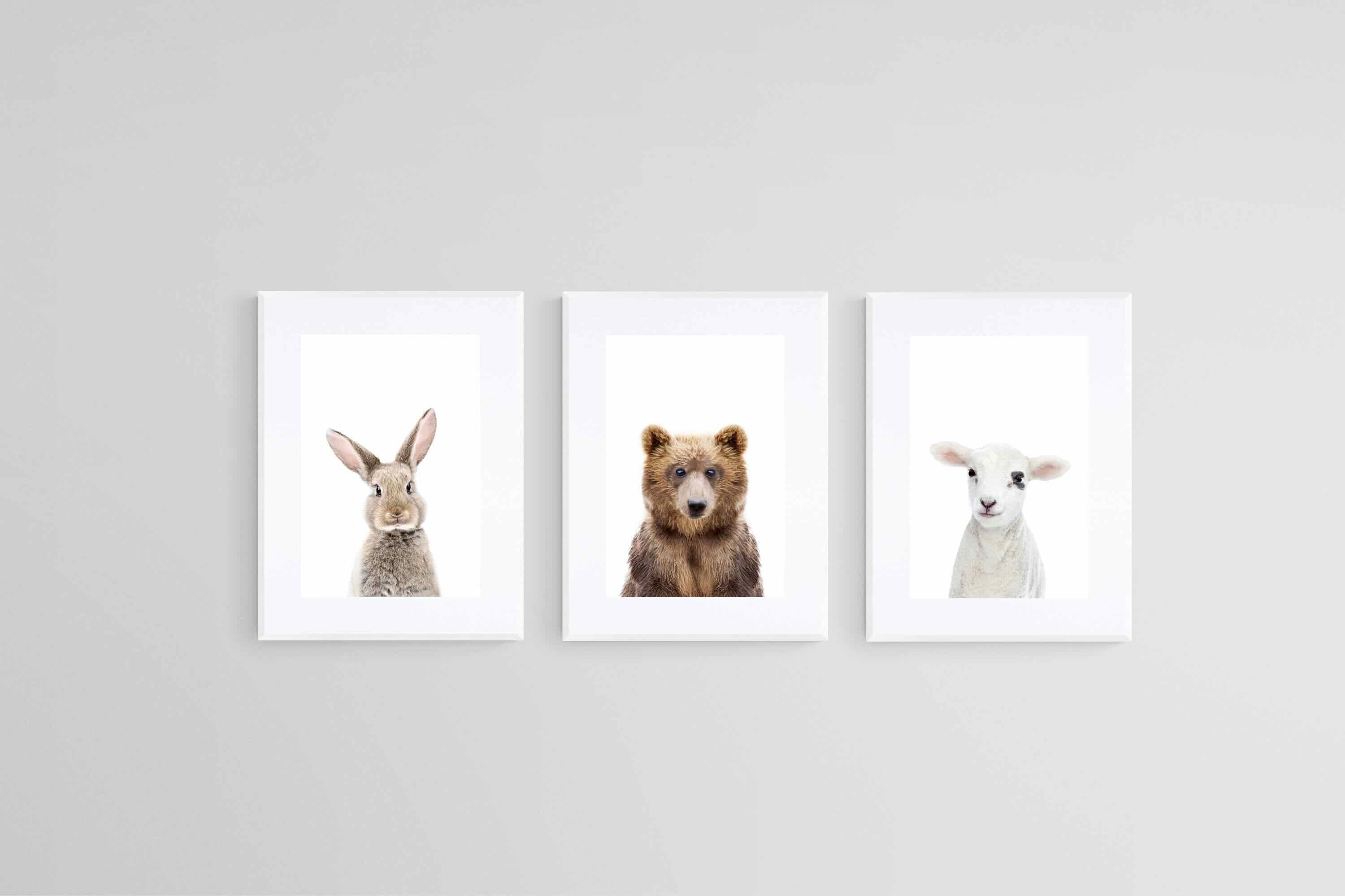 Adorable Trio Set