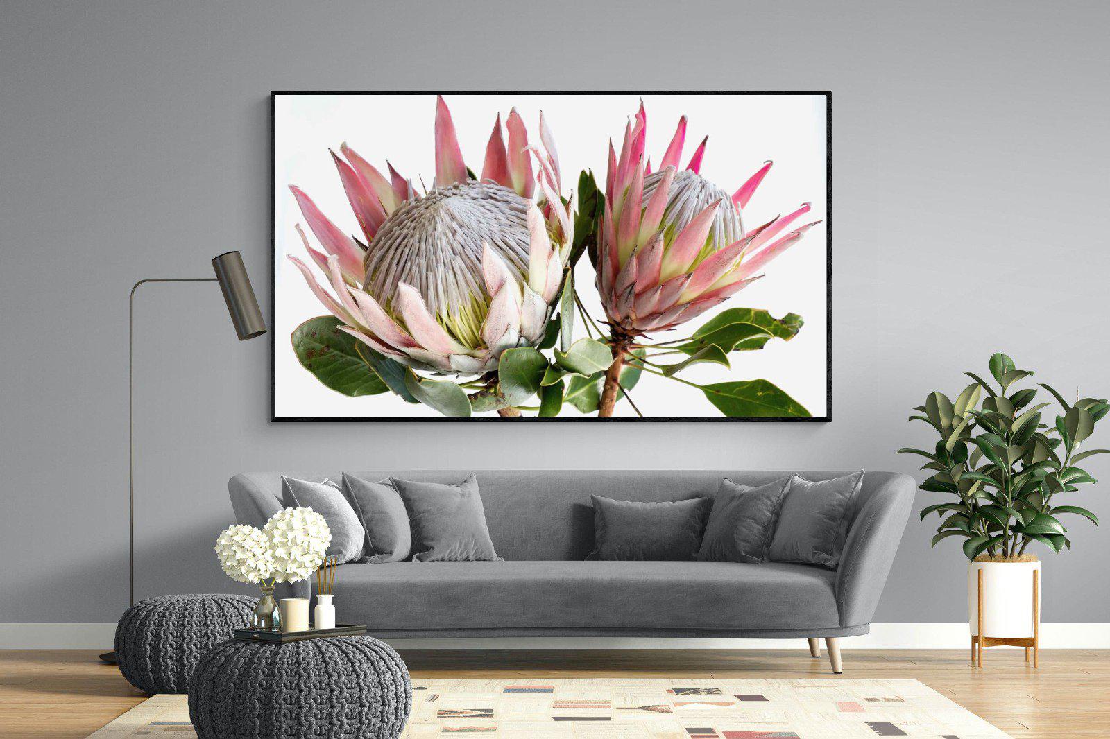 King Proteas-Wall_Art-220 x 130cm-Mounted Canvas-Black-Pixalot