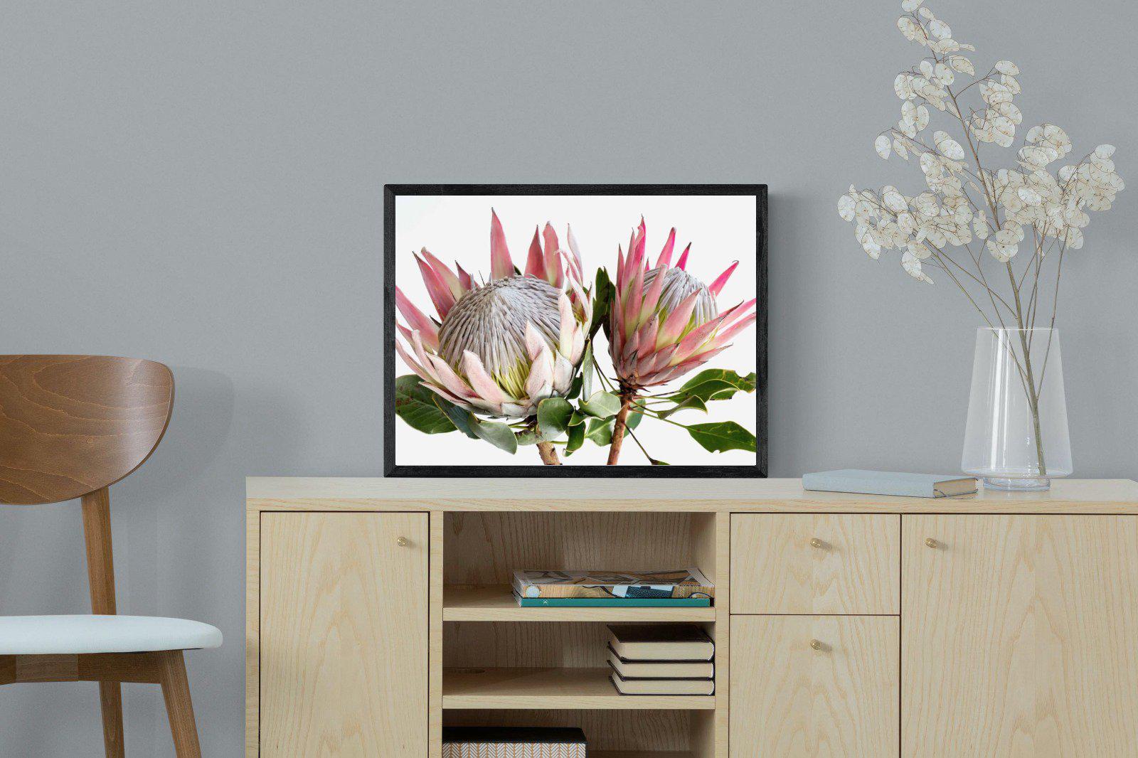 King Proteas-Wall_Art-60 x 45cm-Mounted Canvas-Black-Pixalot