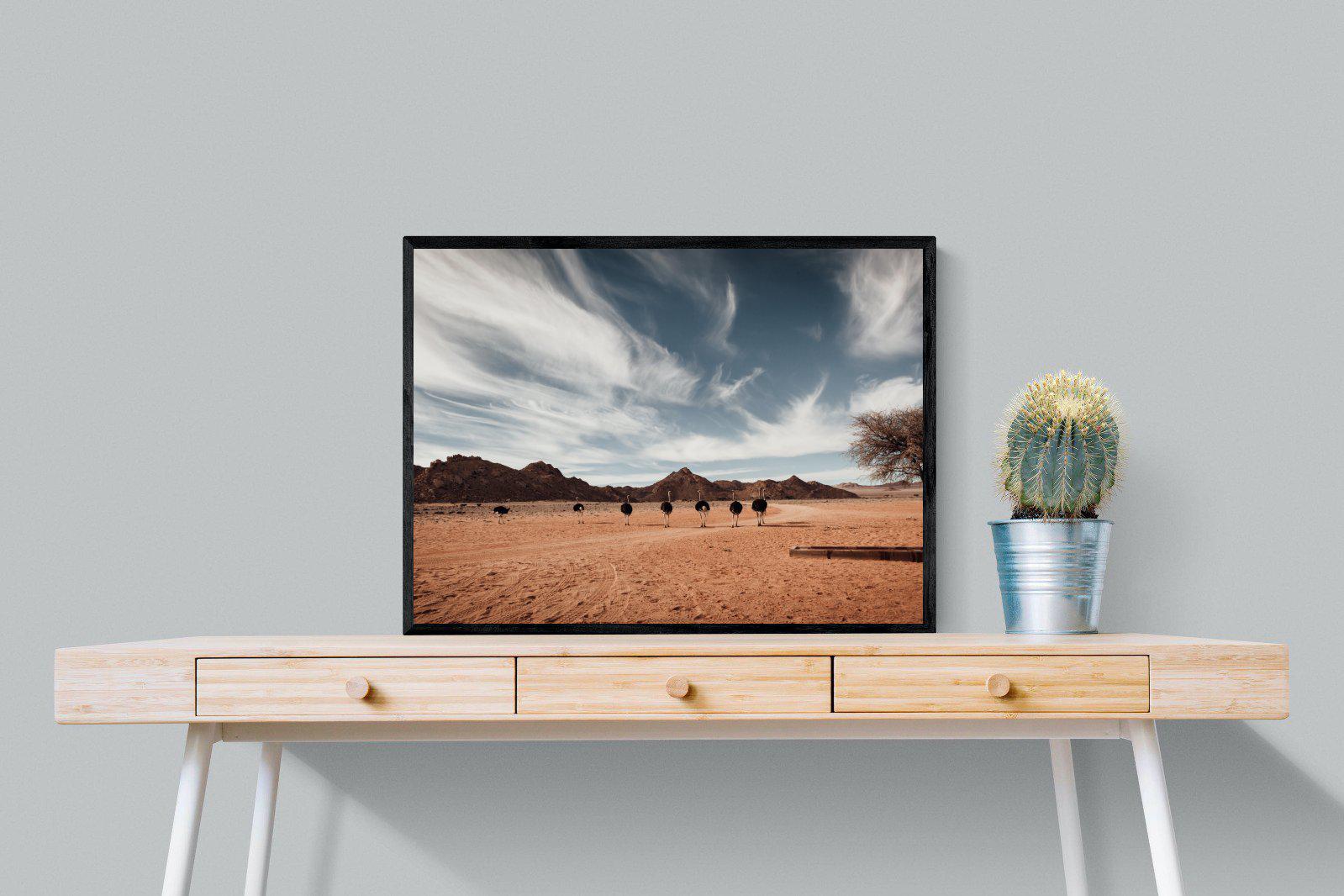 Namibian Ostrich-Wall_Art-80 x 60cm-Mounted Canvas-Black-Pixalot