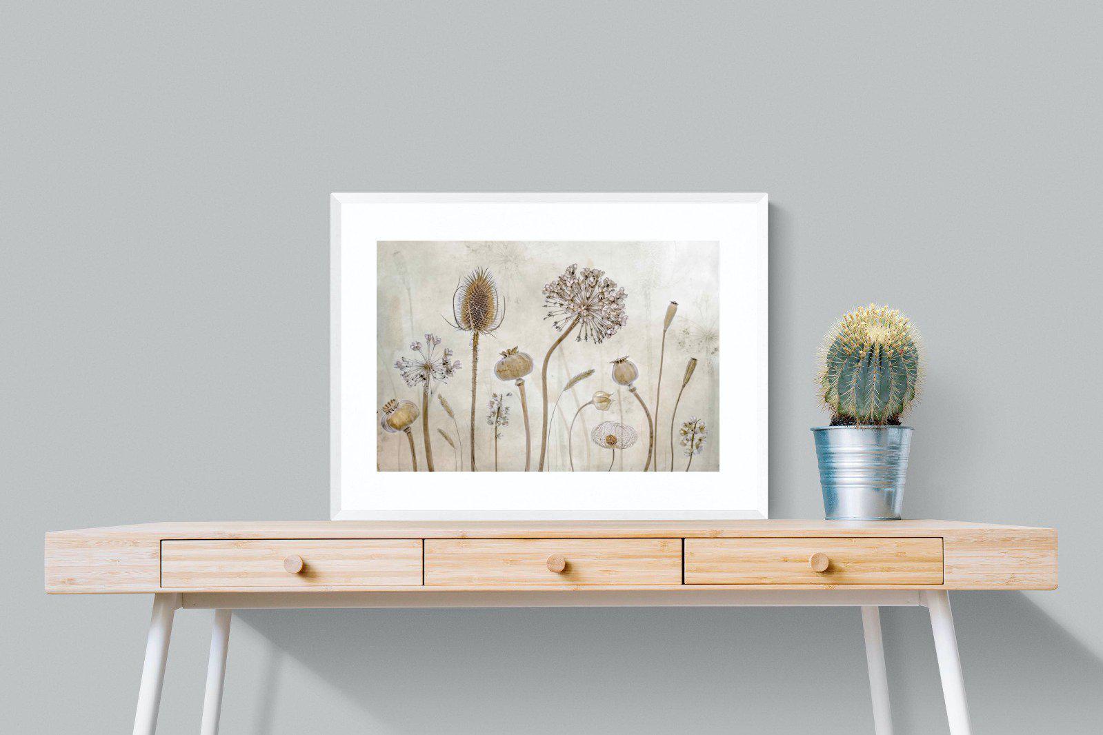 Seed Pods-Wall_Art-80 x 60cm-Framed Print-White-Pixalot