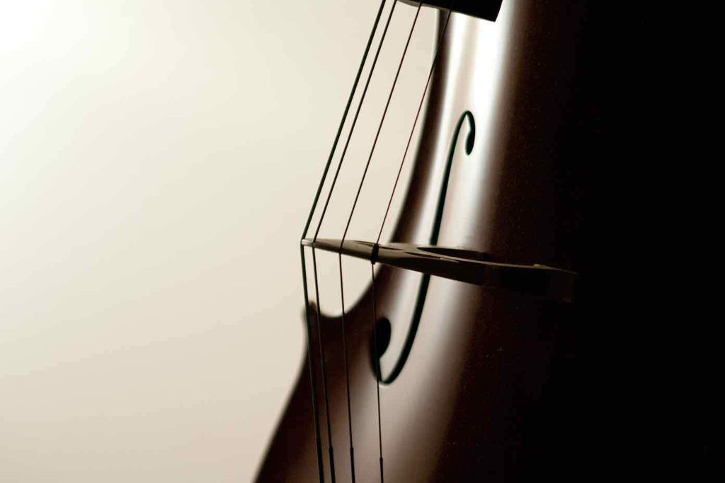Symphony-Wall_Art-Pixalot