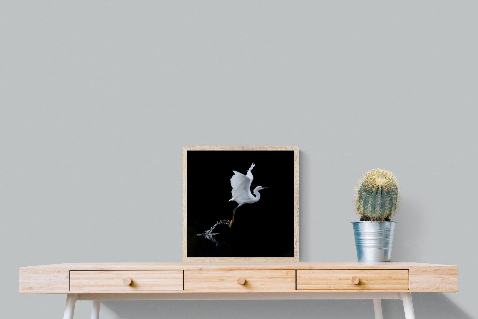Take to the Air-Wall_Art-50 x 50cm-Mounted Canvas-Wood-Pixalot