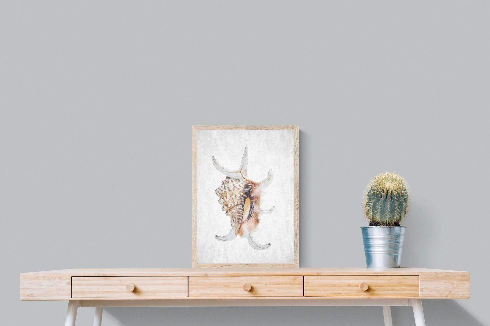 Pixalot Conch