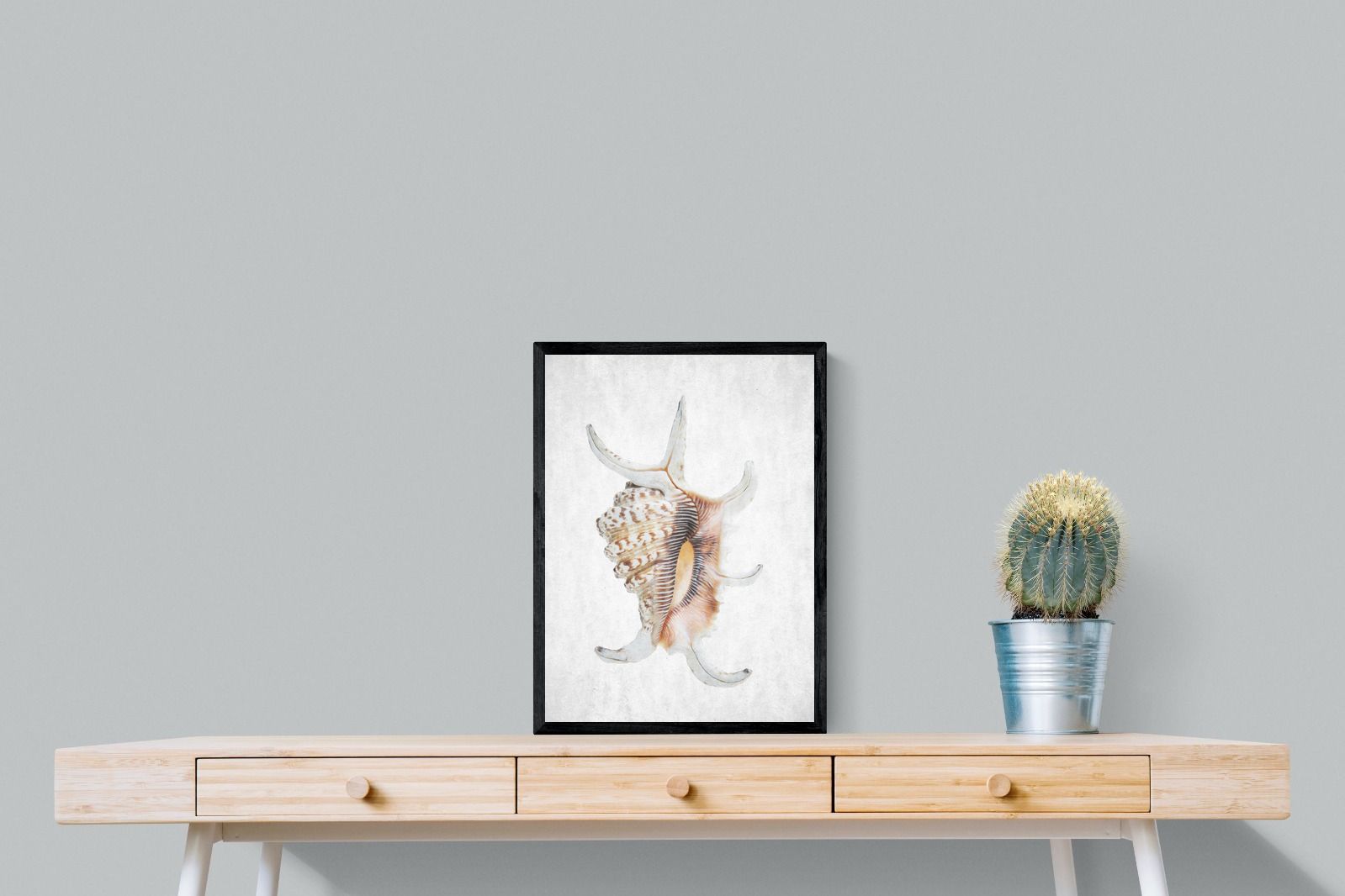 Pixalot Conch