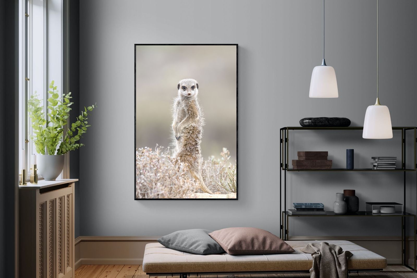 Pixalot Meerkat