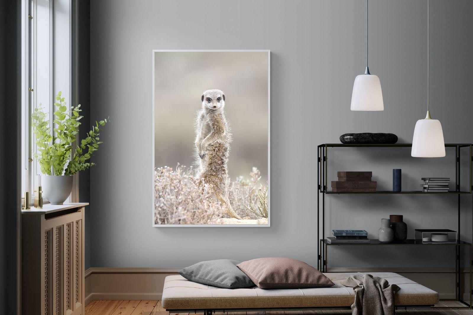 Pixalot Meerkat