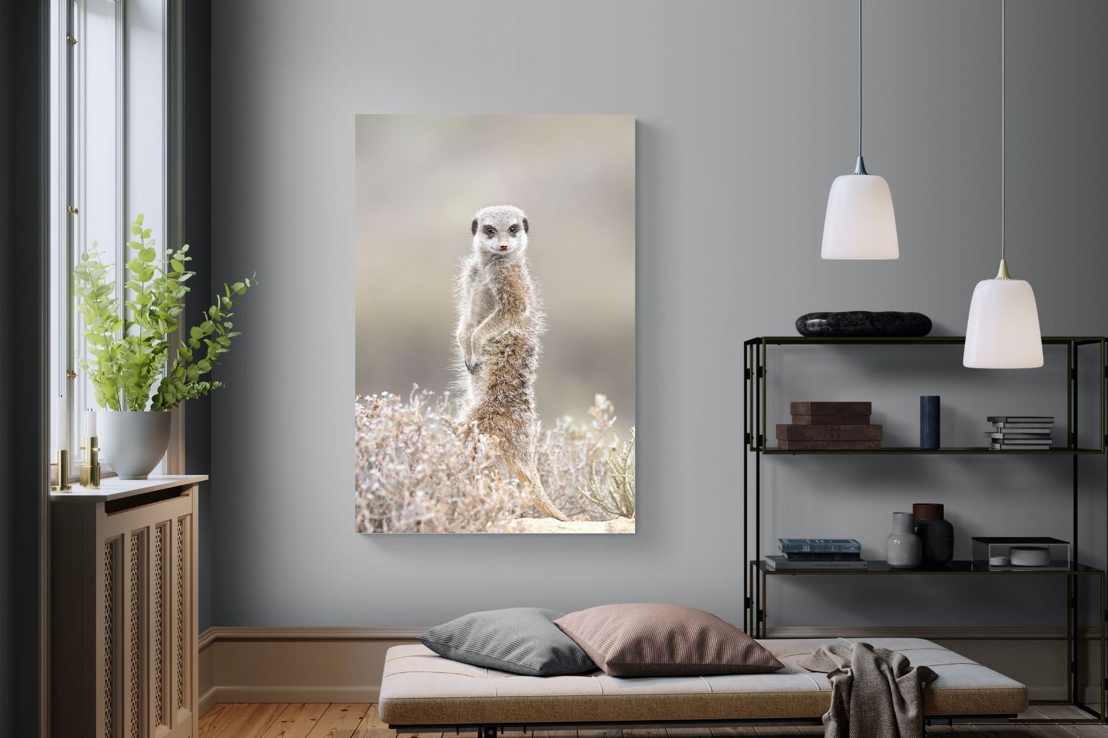 Pixalot Meerkat