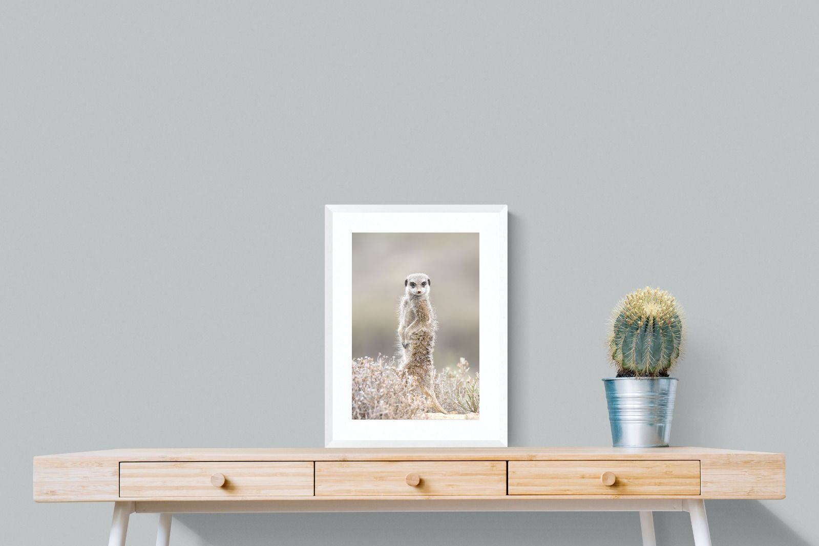 Pixalot Meerkat