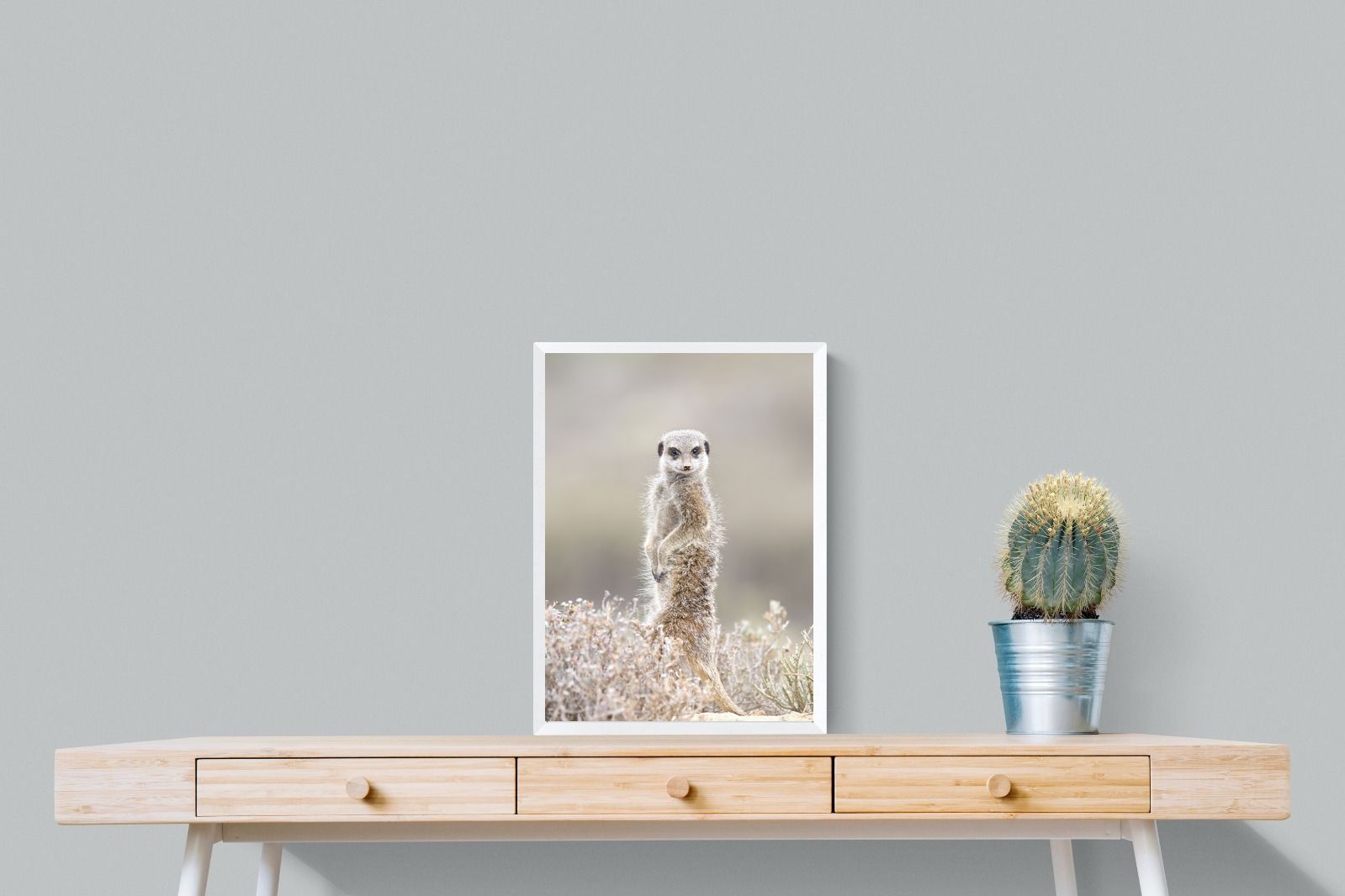 Pixalot Meerkat