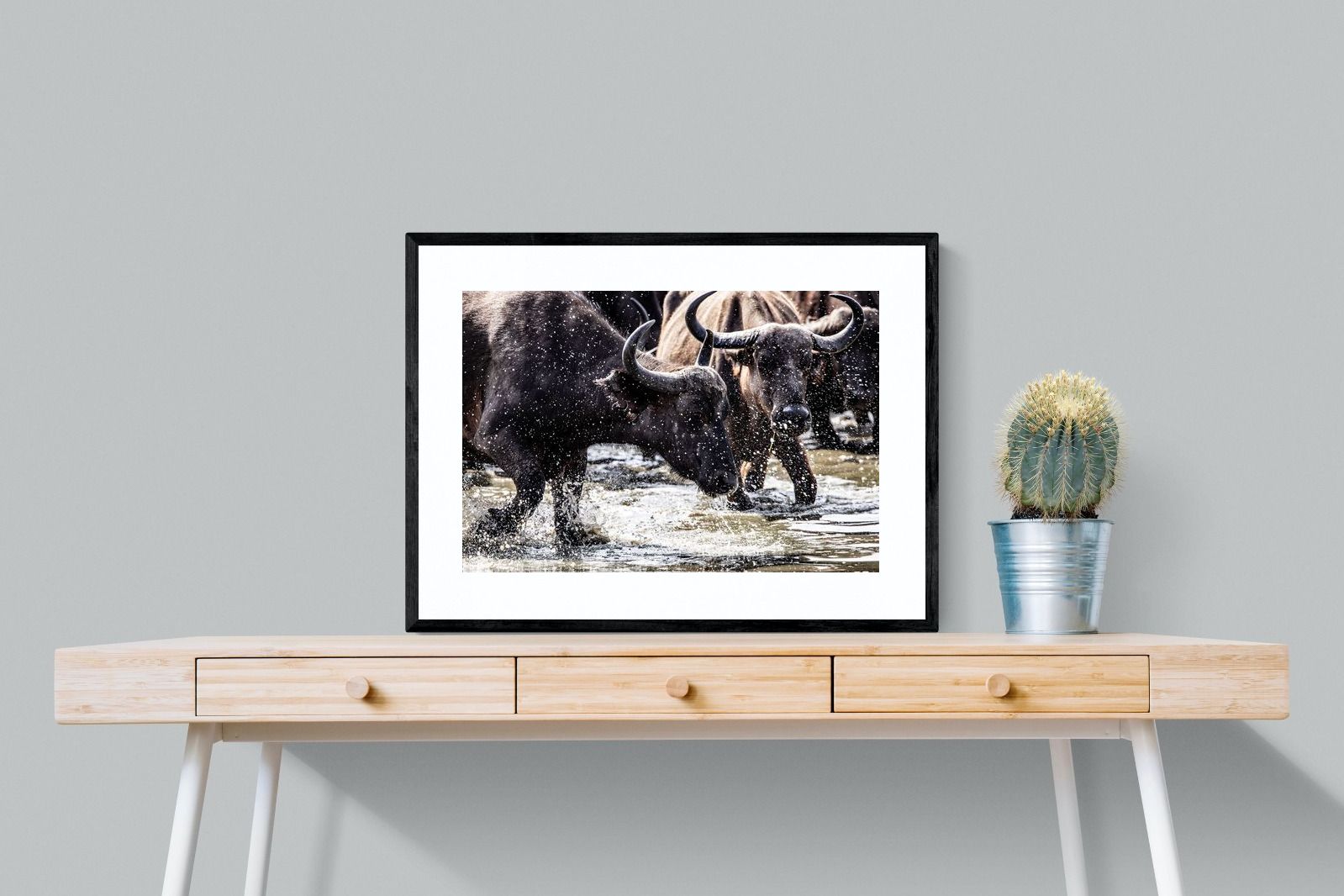 Pixalot Buffalo Splash