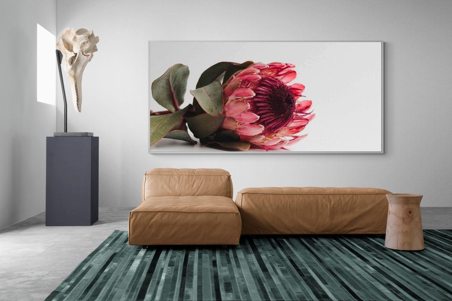 Pixalot Resting Protea